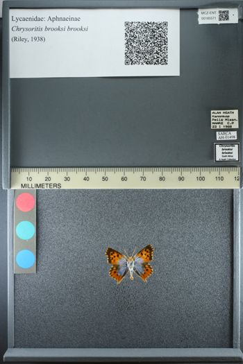 Media type: image;   Entomology 185571
